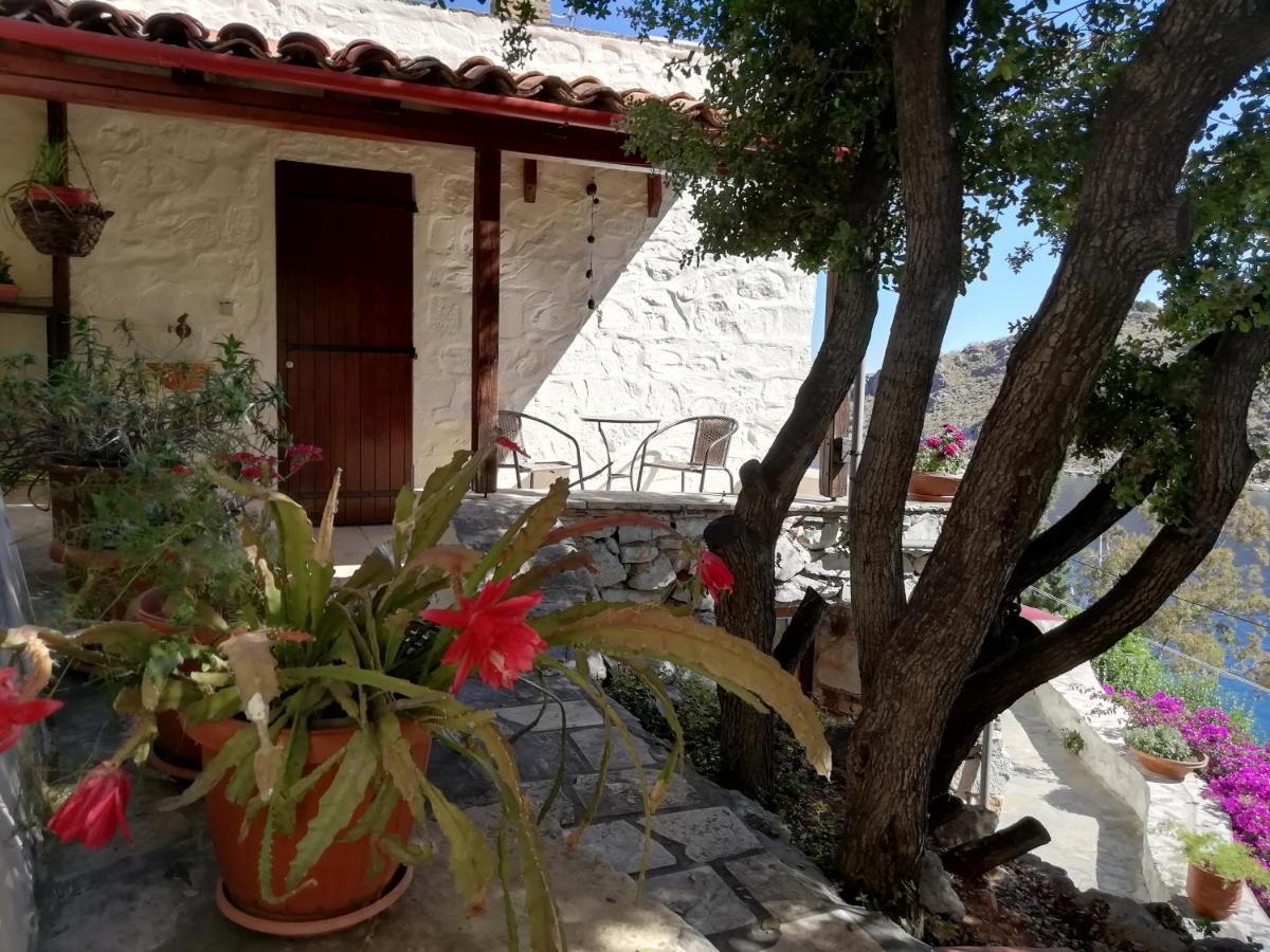 Mandraki Arbeli House别墅 外观 照片