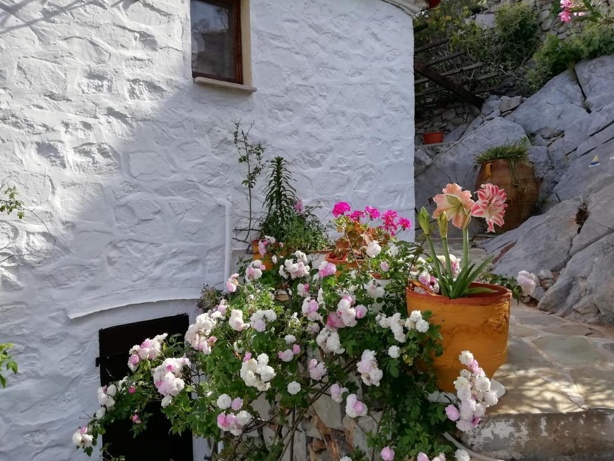Mandraki Arbeli House别墅 外观 照片